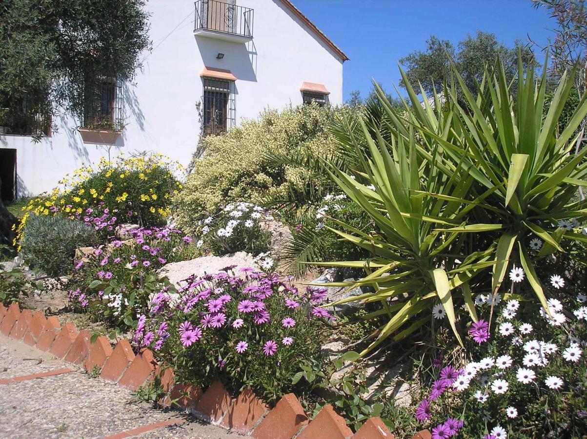 Casa Rural "El Carrasca" El Carrascalejo Екстер'єр фото