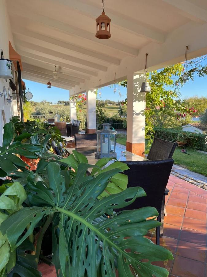 Casa Rural "El Carrasca" El Carrascalejo Екстер'єр фото