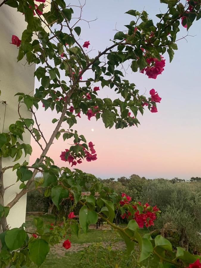 Casa Rural "El Carrasca" El Carrascalejo Екстер'єр фото