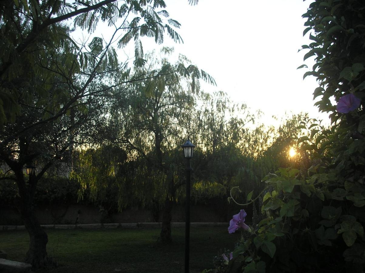 Casa Rural "El Carrasca" El Carrascalejo Екстер'єр фото