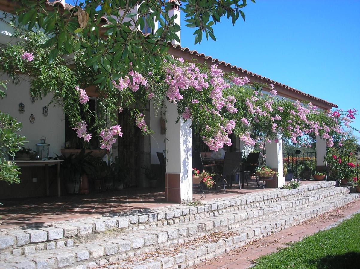 Casa Rural "El Carrasca" El Carrascalejo Екстер'єр фото
